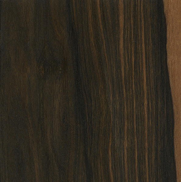 Mun Ebony  The Wood Database (Hardwood)