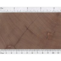 Tasmanian Myrtle (endgrain)