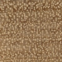 Myrtle (endgrain 10x)