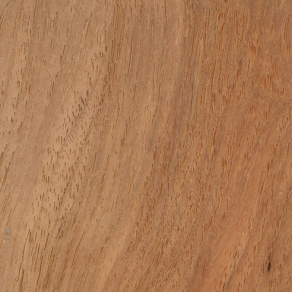 6 Wood Finishes for African Padauk: Which One Is Best? – Woodworkers Source  Blog