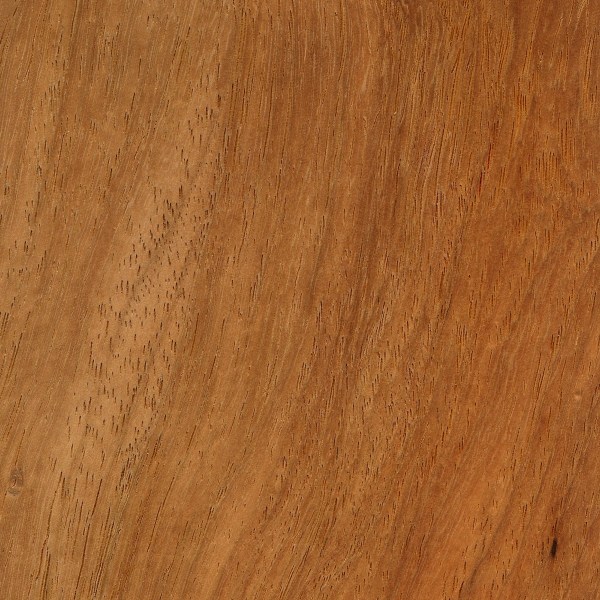 Narra The Wood Database Lumber Identification Hardwood