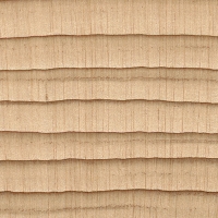 Northern White Cedar (endgrain 10x)