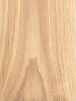 Nutmeg Hickory (sealed)