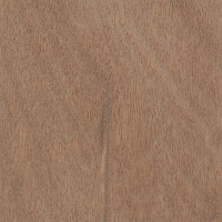 Okoume (Aucoumea klaineana)