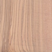 Olive Ash (sanded)