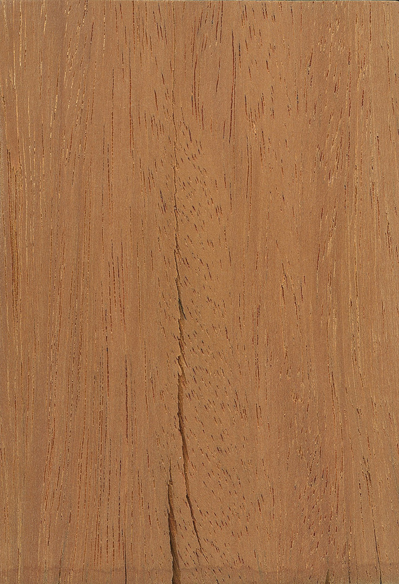 Opepe the wood database lumber identification hardwood 