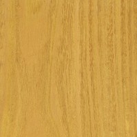 Osage Orange (sealed)