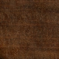 Pau Ferro (endgrain 10x)