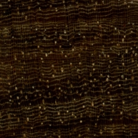 Pau Santo (endgrain 10x)