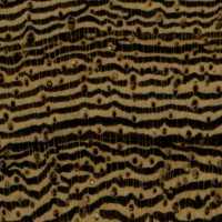 Pheasantwood (endgrain 10x)