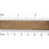 Pin Oak (endgrain)
