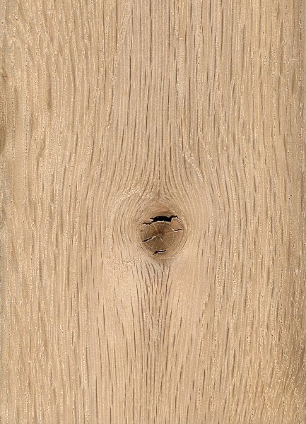 Oak The Wood Database