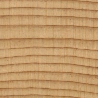 Port Orford Cedar (endgrain 10x)