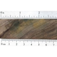 Rainbow Poplar (endgrain)