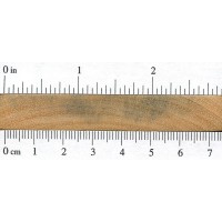 Ramin (endgrain)