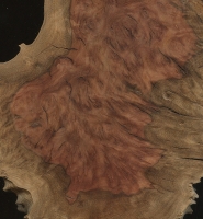 Red Mallee burl (sealed)