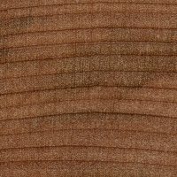 Red Mallee (endgrain 10x)