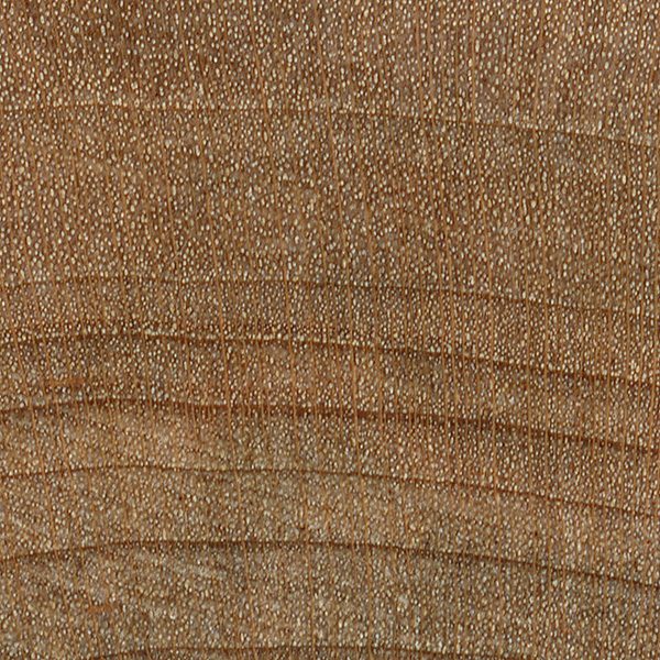 Red Maple The Wood Database Lumber Identification (Hardwood)