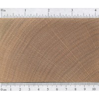 Red Oak (endgrain)