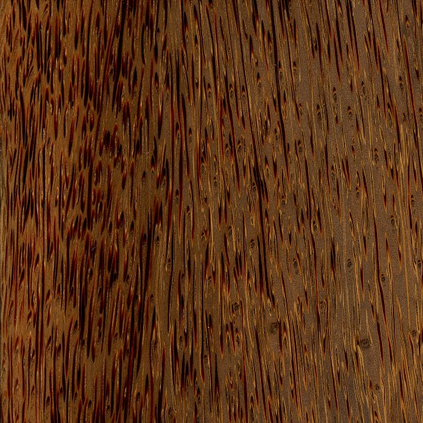 Indonesian Red Palm wood