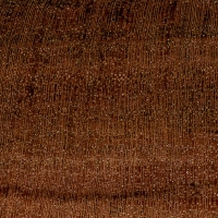 Rhodesian Teak (endgrain 10x)