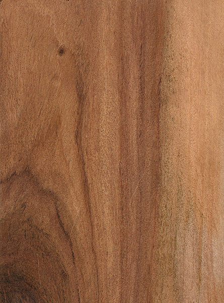 Rhodesian Teak (Baikiaea plurijuga)