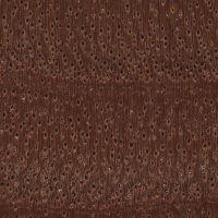 River Red Gum (endgrain 10x)