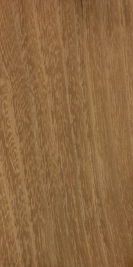 What Makes a Tree Veneer Quality