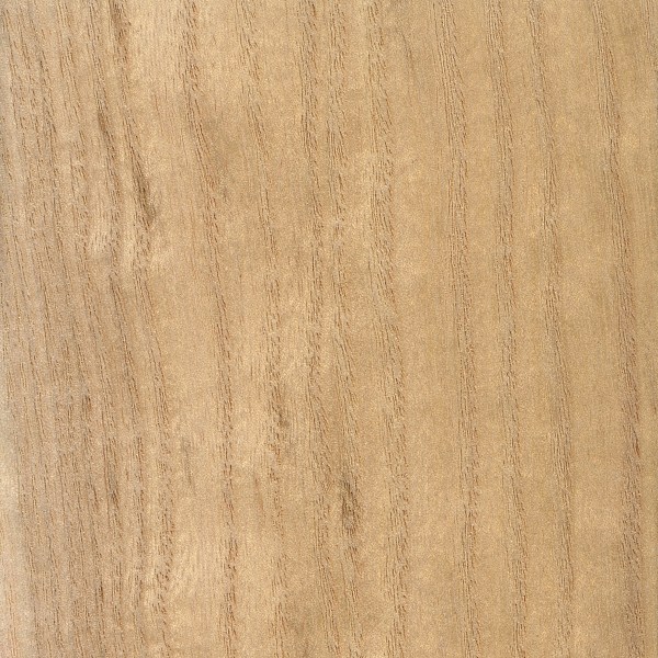 Factory Direct Good Paulownia Wood Board for Small Wooden Boxes