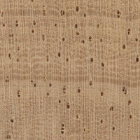 Rubberwood (endgrain 10x)