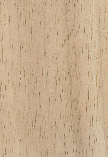 Rubberwood The Wood Database Lumber Identification Hardwood