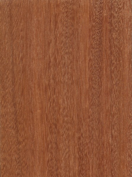 mahogany wood grain