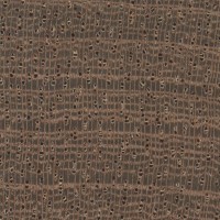 Sapele (endgrain 10x)