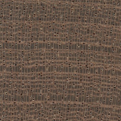 Sapele (endgrain 10x)