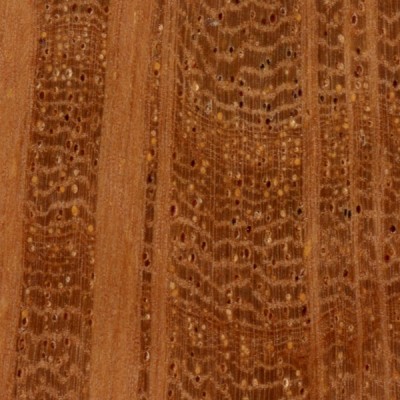 Sheoak (endgrain 10x)