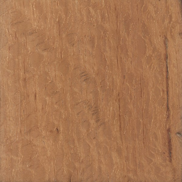 Australian Buloke Flooring Floor Roma