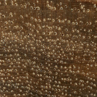 Shellbark Hickory (endgrain 10x)
