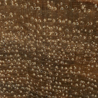 Shellbark Hickory (endgrain 10x)