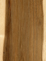 Shellbark Hickory (sealed)