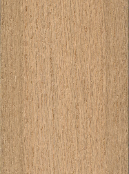 Small white oak board