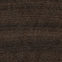 Siamese Rosewood (endgrain 10x)
