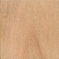 Northern Silky Oak (flatsawn, sanded)