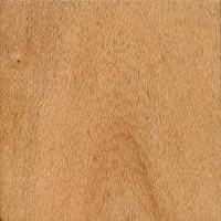 Northern Silky Oak: flatsawn (sealed)