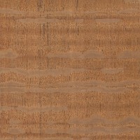 Silky Oak (sealed)