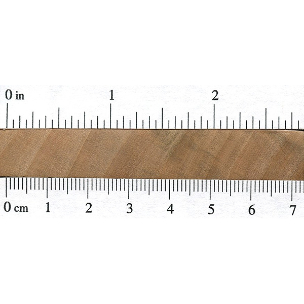 Silver Maple The Wood Database Lumber Identification (Hardwood)