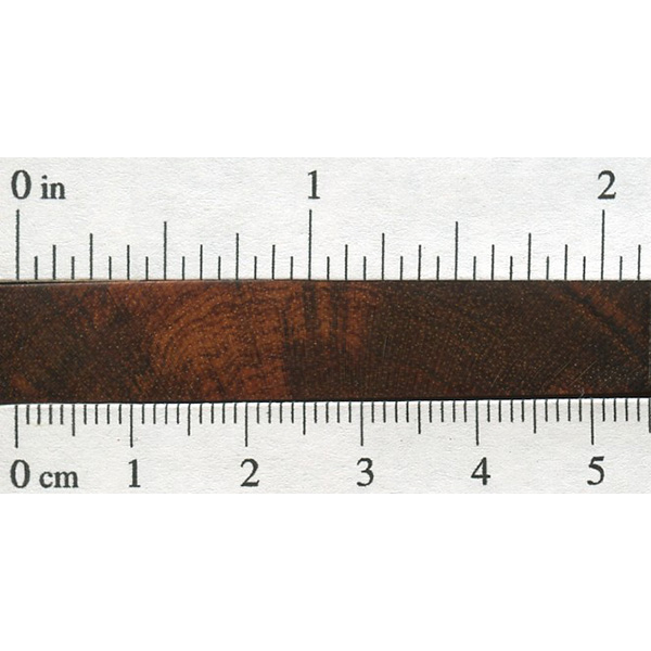 Snakewood The Wood Database Lumber Identification (Hardwood)