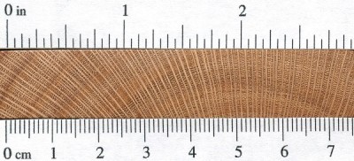 Southern Silky Oak | The Wood Database - Lumber Identification (Hardwood)