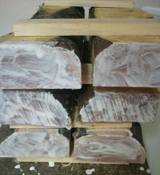 Drying Wood at Home | The Wood Database