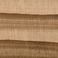 Sugi (endgrain 10x)