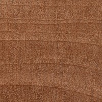 Pear (endgrain 10x)